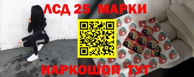 стафф Моздок