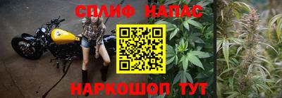 шишки Можайск