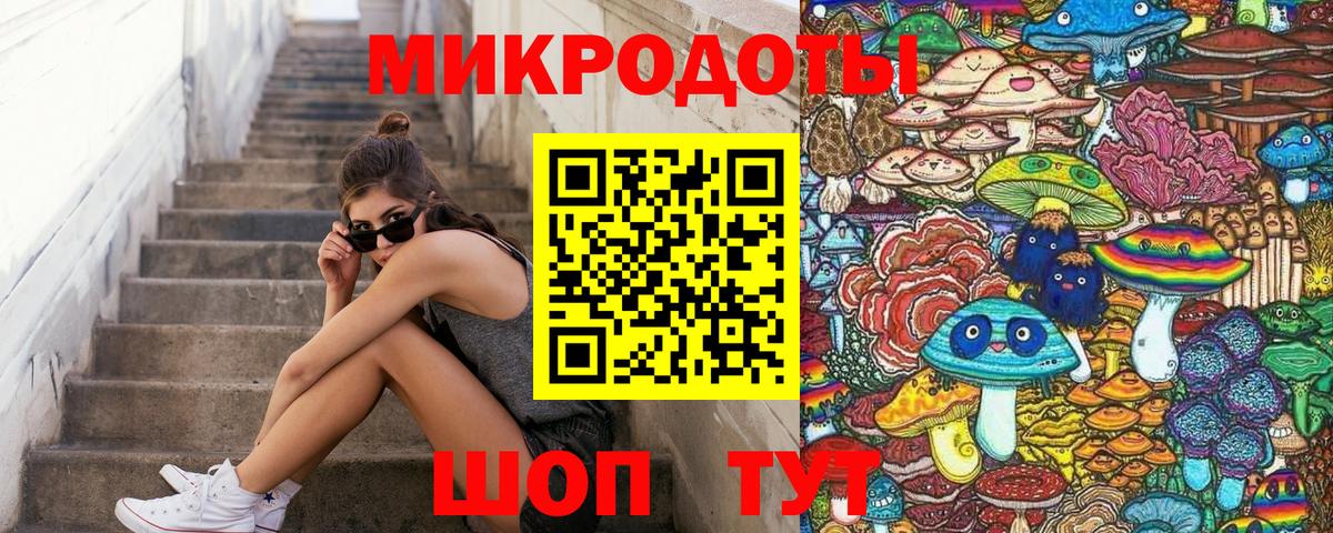 Псилоцибиновые грибы Psilocybe Холмск