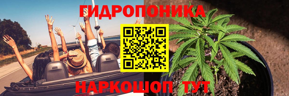 Бошки марихуана Amnesia Холмск